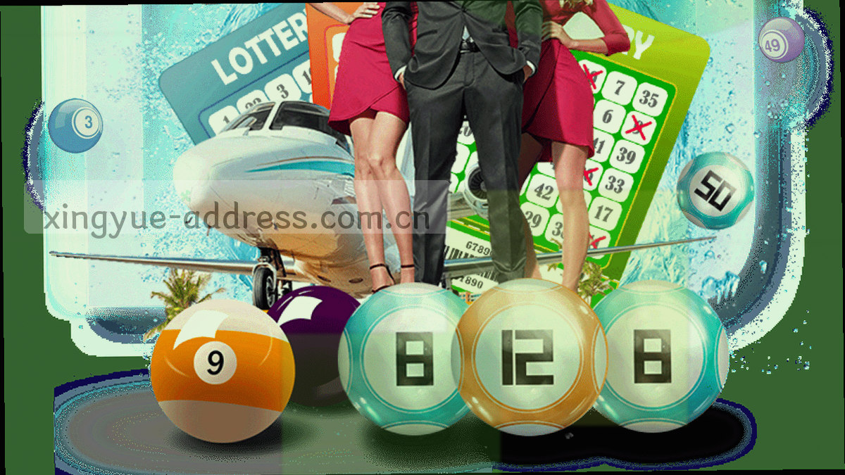 档案夹标签与分类隔页特写，标签上标注业务分组编号与批次